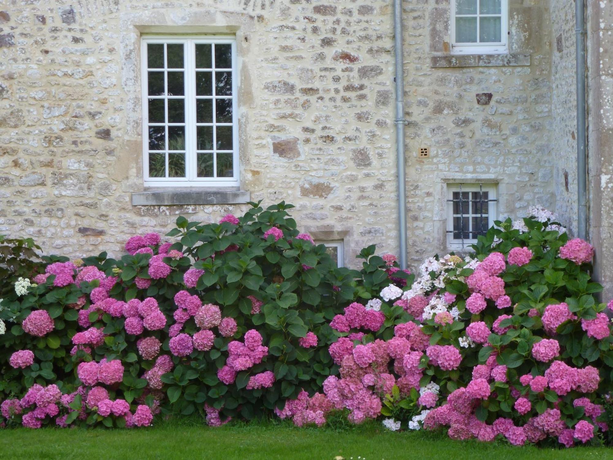 Bed and Breakfast Manoir De Savigny Valognes Exterior foto